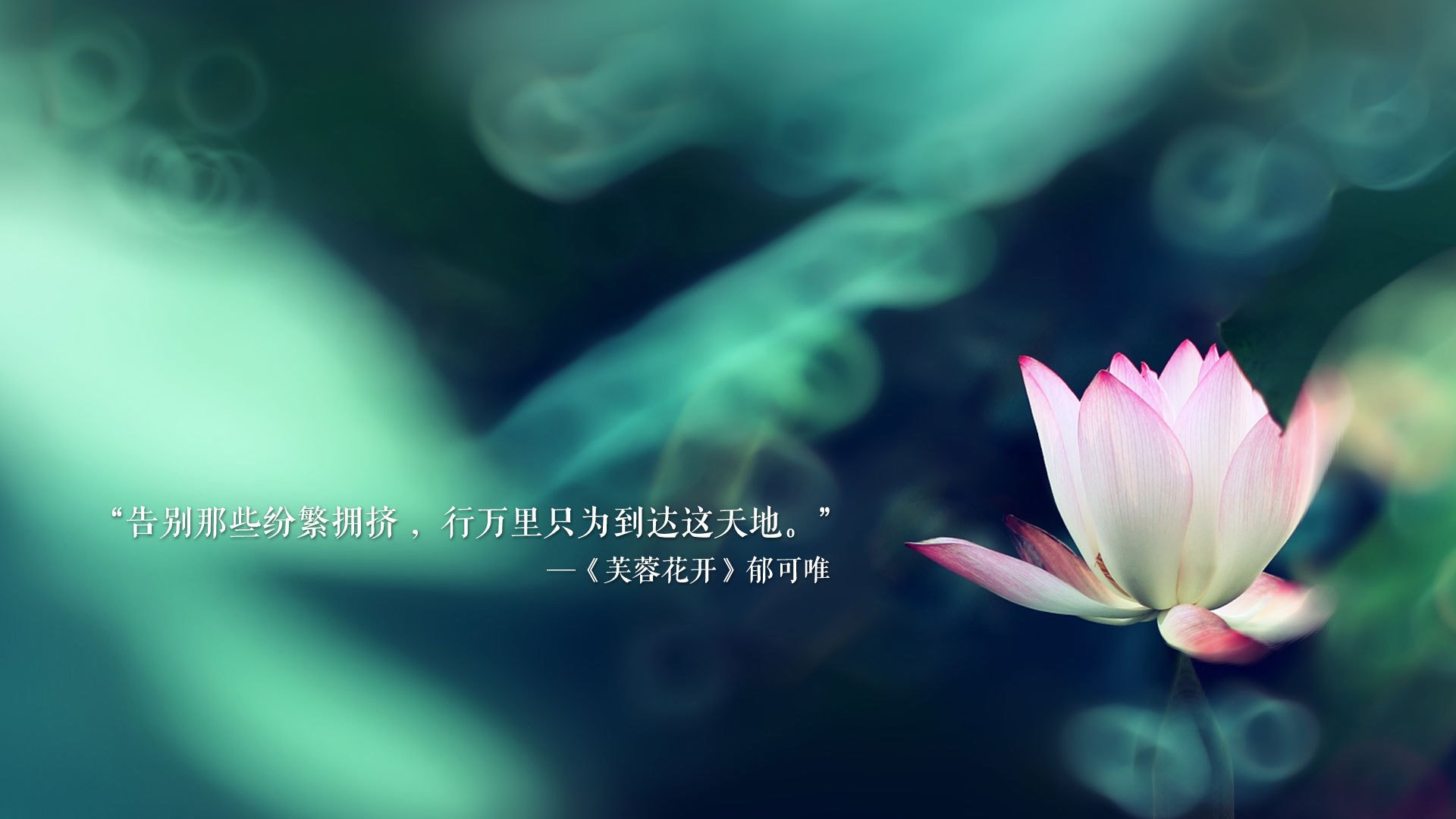 凯尔特人启动“球员终身学习基金”，支持大学进修，凯尔特人精选