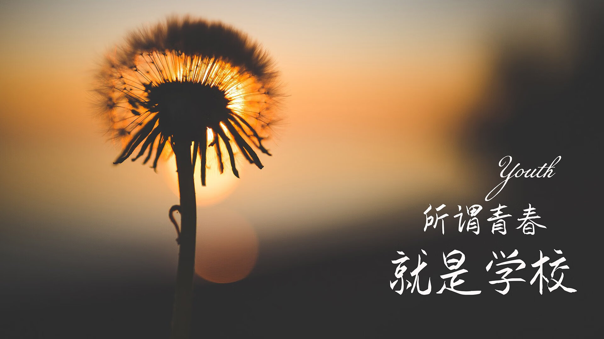 九游下载中心-是否应鼓励更多国际球员加入选秀，提升支持球队国籍的球员