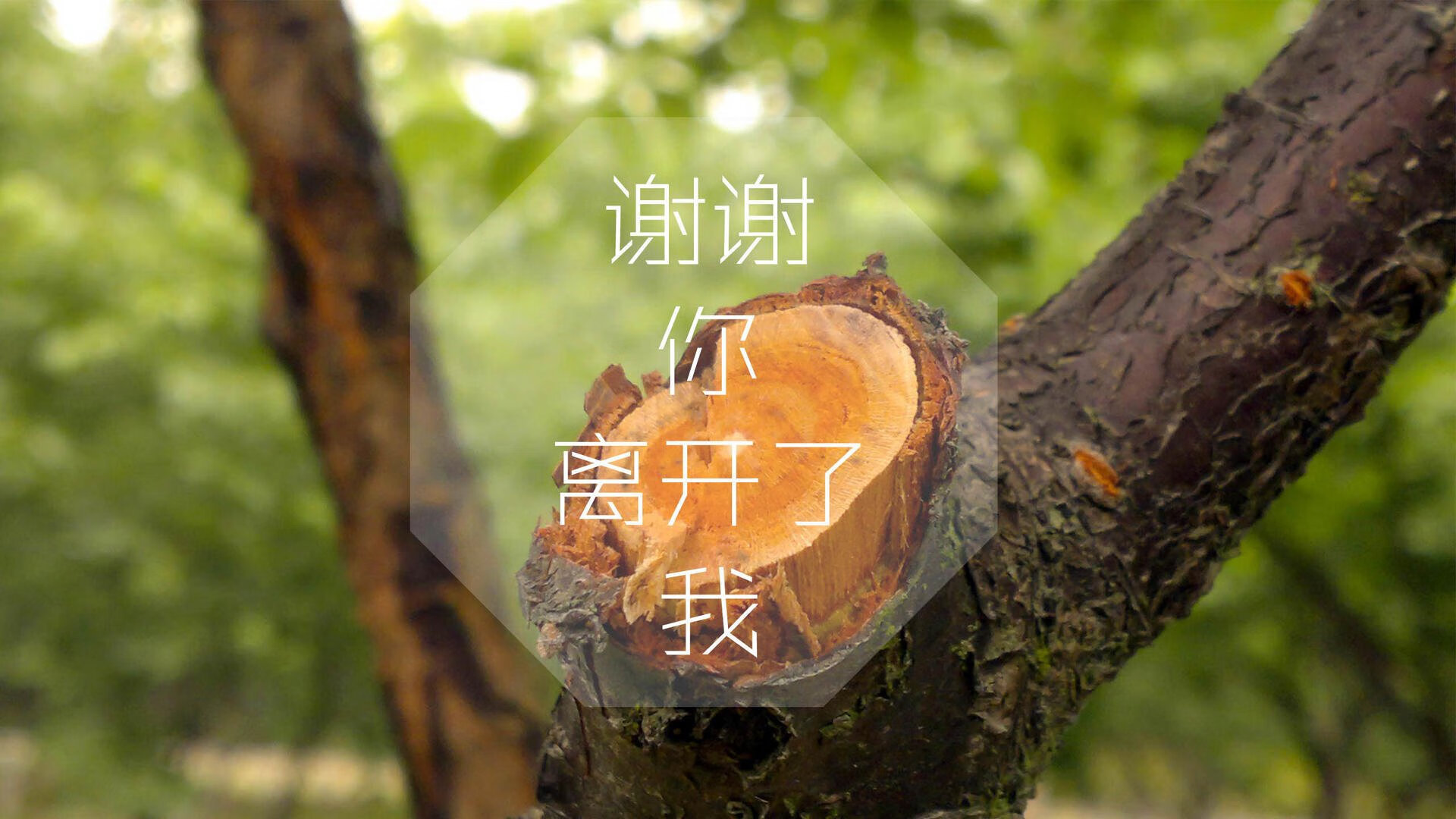 是否应鼓励球员参与退役球员安置管理，球员退役有退休金吗