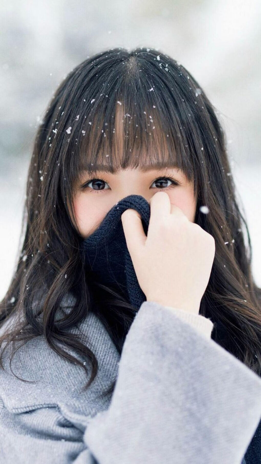 瑞典球队选出新队长，注入新的领导力量，瑞典球队选出新队长,注入新的领导力量