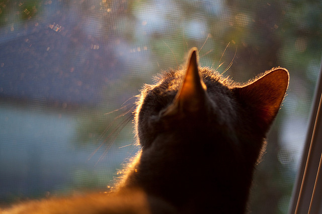 中超联赛中国青年队战平 球迷呼吁更多年轻力量,2020中超青训梯队试训公告