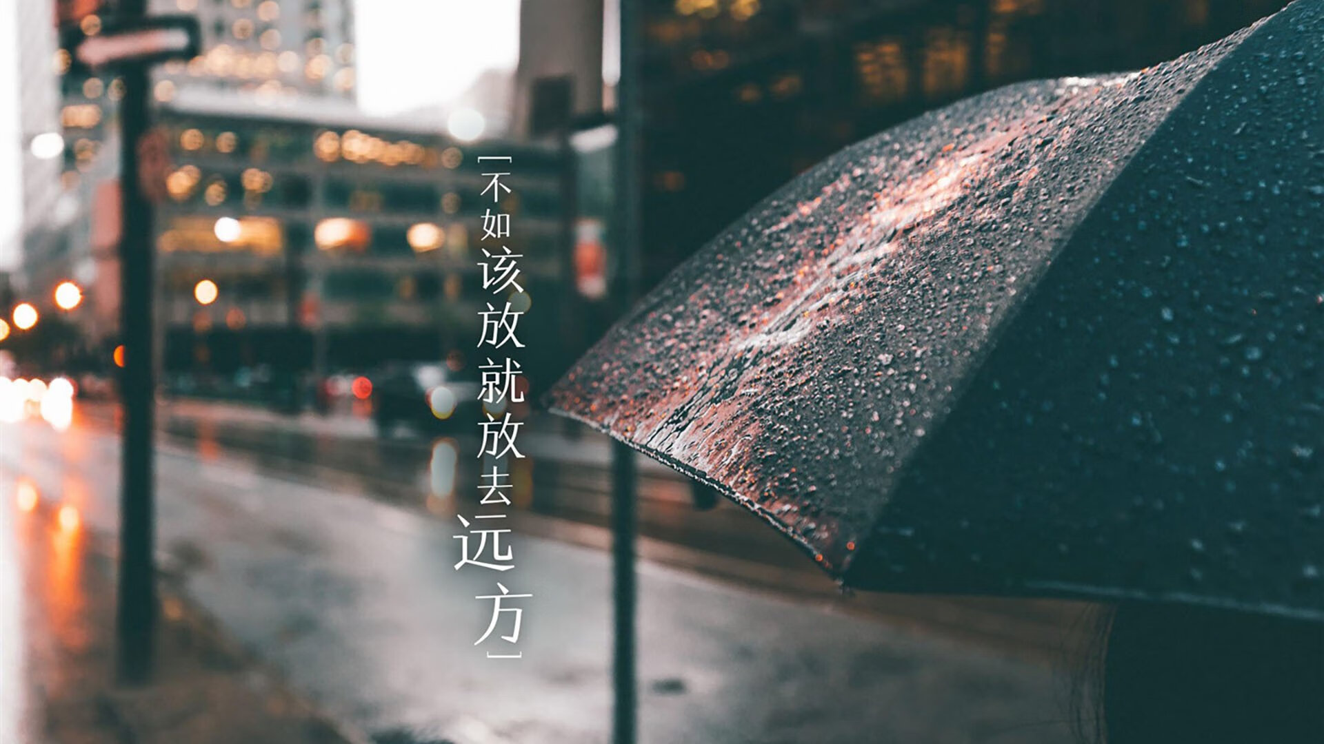 九游登录入口-波兰队未来目标：如何在国际赛场上迎头赶上强队，波兰队战绩