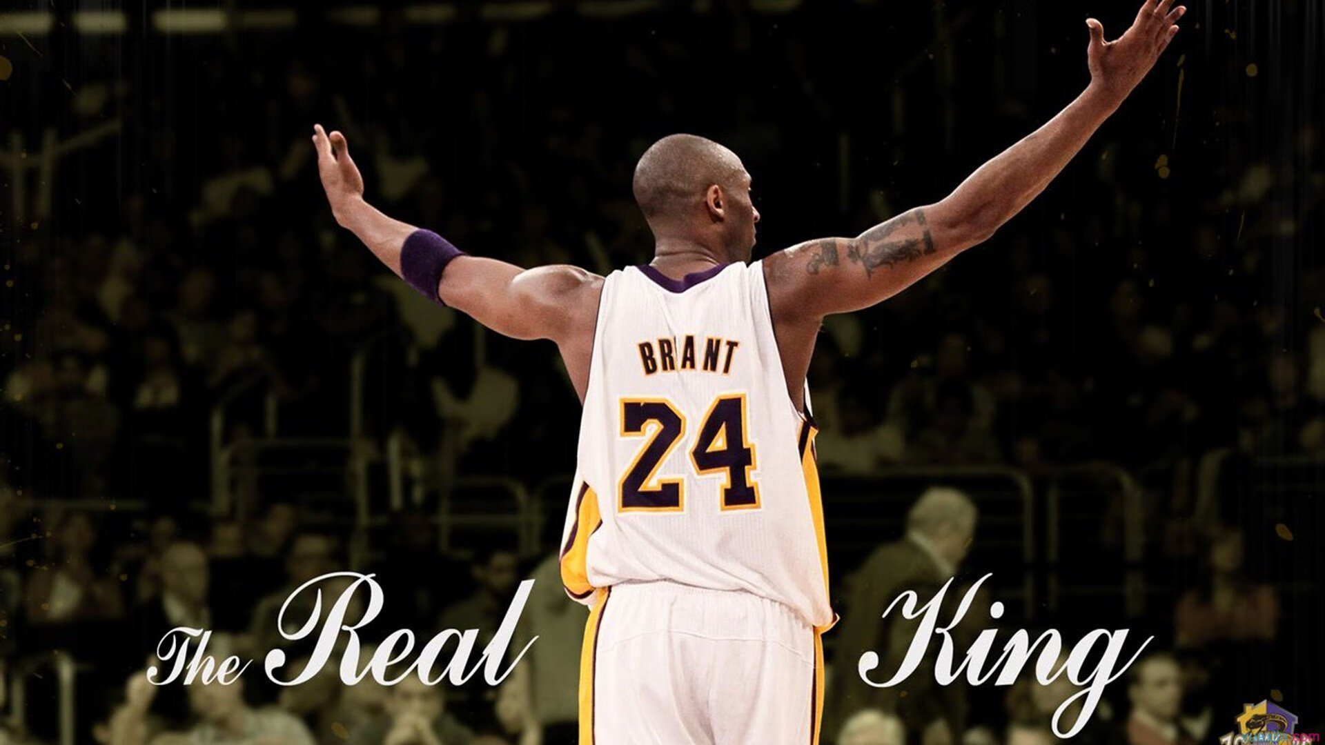 女子网球公开赛中国选手表现突出,晋级八强,女子网球职业赛事